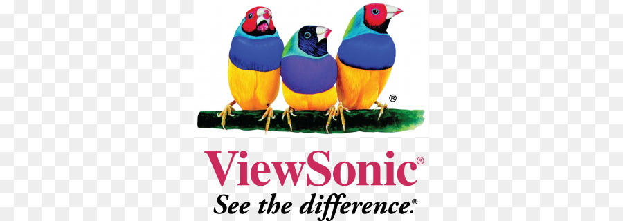 Viewsonic，Monitores De Computador PNG