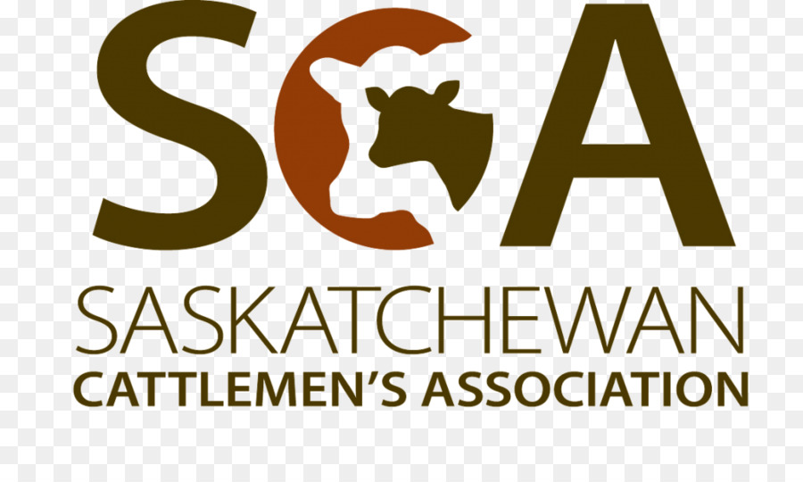 Saskatchewan Associação De Pecuaristas，Simmental Gado PNG