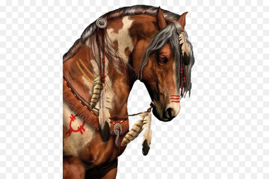 A American Paint Horse，American Indian Cavalo PNG