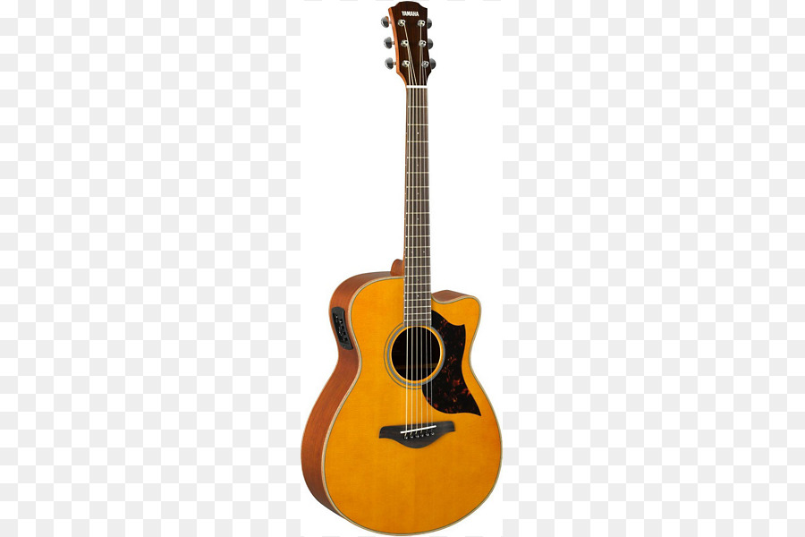 Guitarra，Cordas PNG