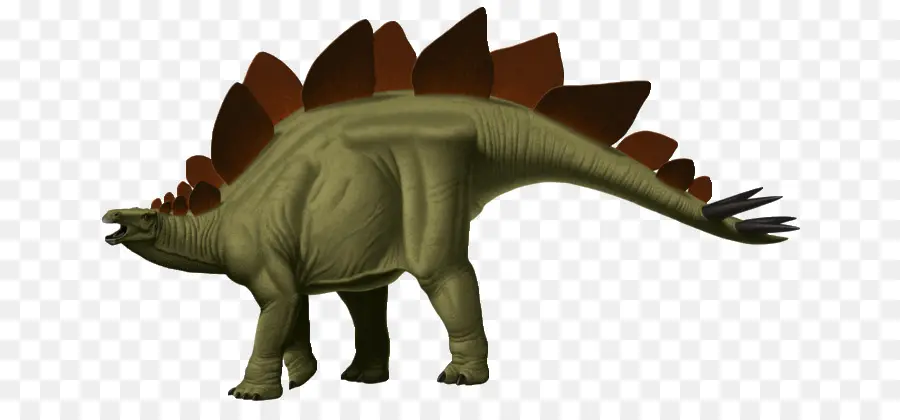 Tiranossauro，Stegosaurus PNG