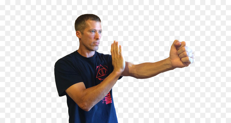 Ip Man，Revolução Wing Chun Lake Placid PNG