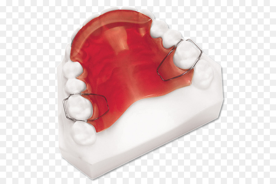 Retentor Dentário，Dentes PNG