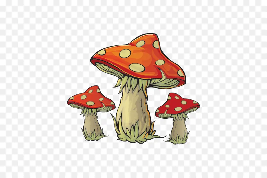 Cogumelo，Amanita Muscaria PNG