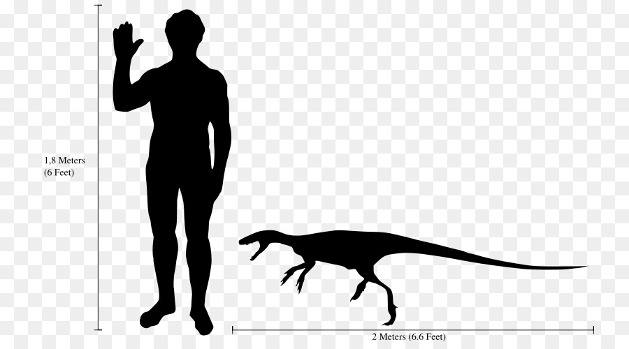 Dinossauro E Humano，Comparação PNG