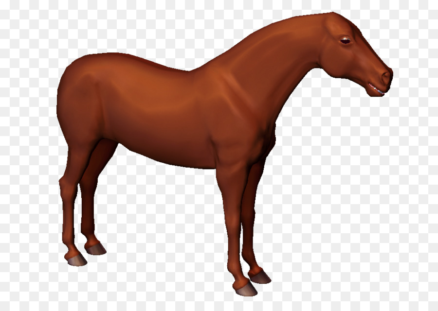 Cavalo，Física PNG