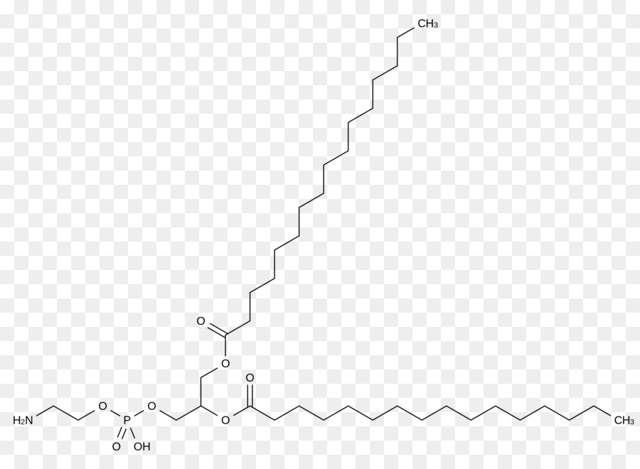 Dipalmitoylphosphatidylcholine，Surfactante PNG