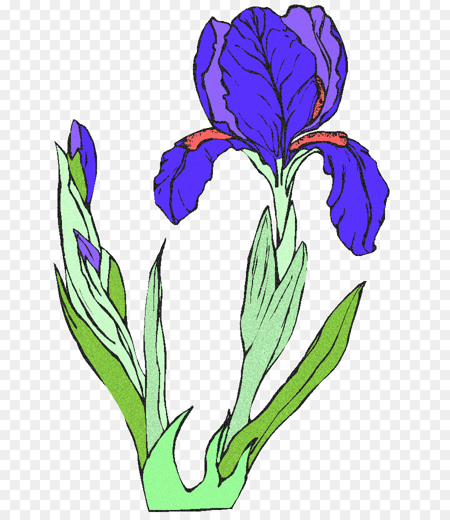 Roxo，Flores De Corte PNG