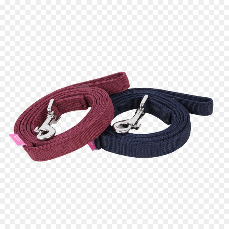 Cão，Leash PNG