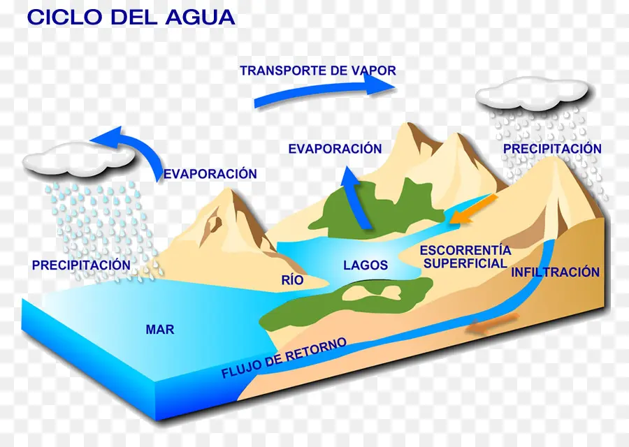 Ciclo Da Água，Evaporação PNG