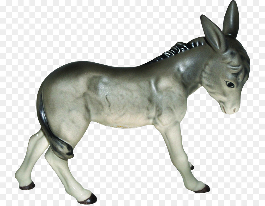 Burro，Cinza PNG