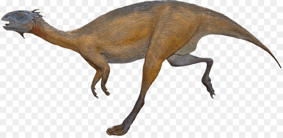 Moabe Gigantes，Dryosaurus PNG