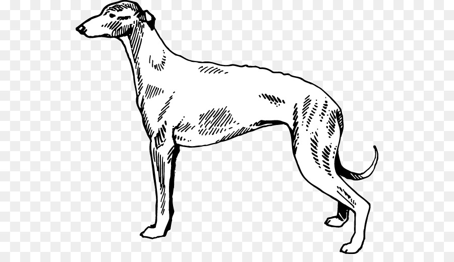 Cachorro，Bicho De Estimação PNG