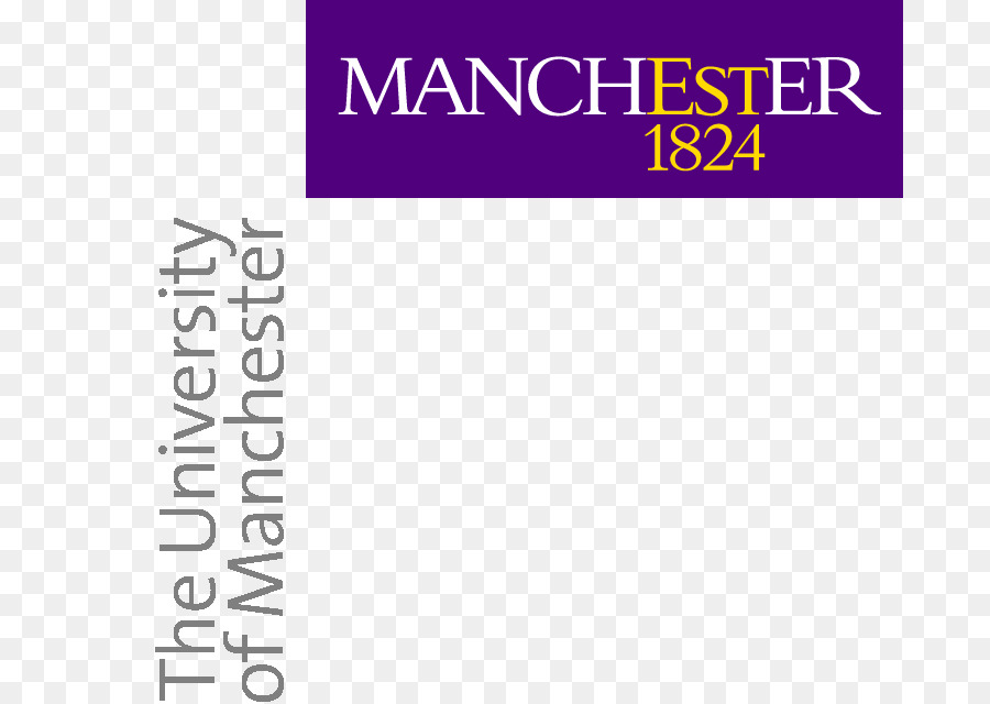 Universidade De Manchester，Aliança Manchester Business School PNG