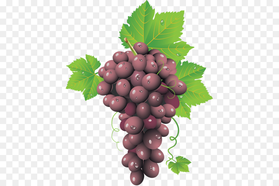 Uvas Roxas，Folhas PNG