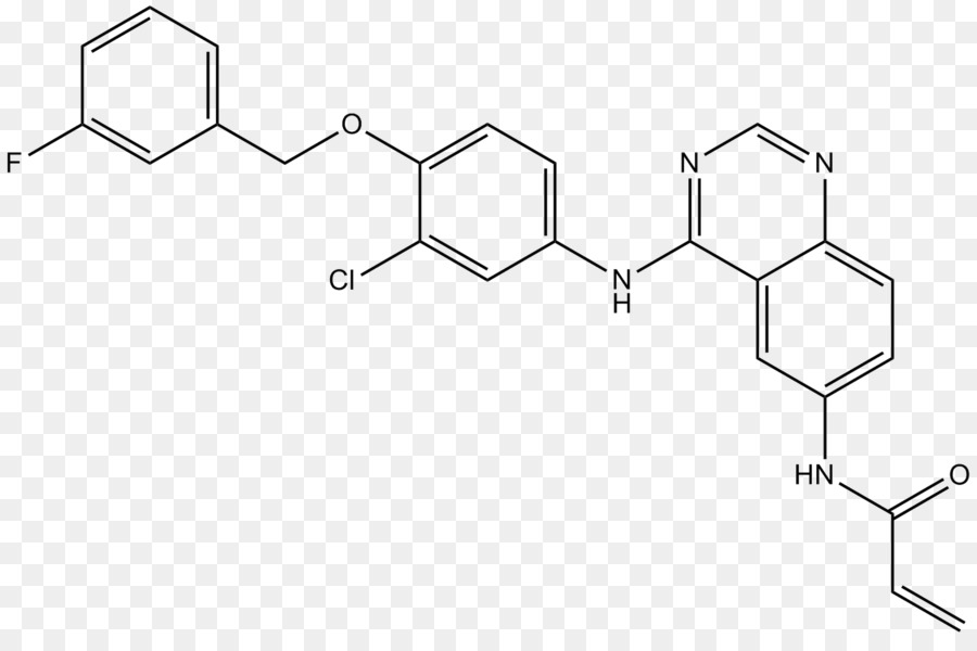 Substância Química，Receptor De Fator De Crescimento Epidérmico PNG