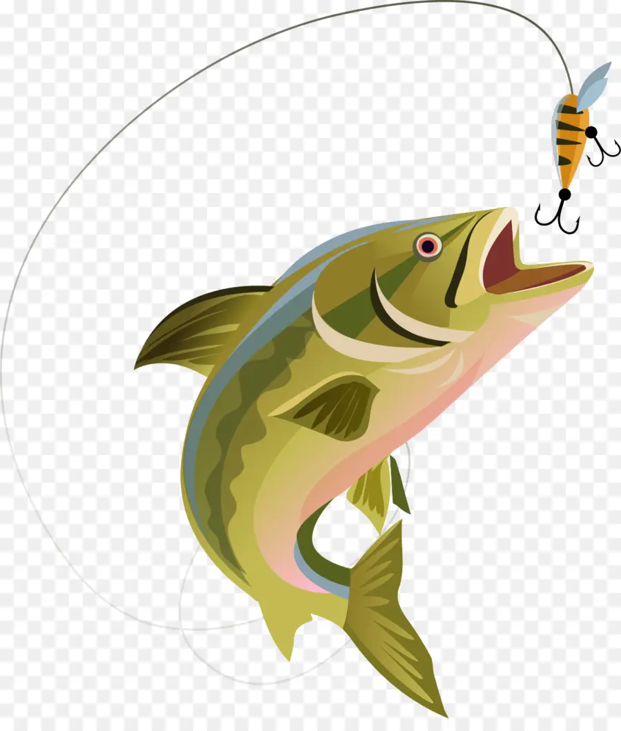 Pesca Recreativa，Pesca PNG