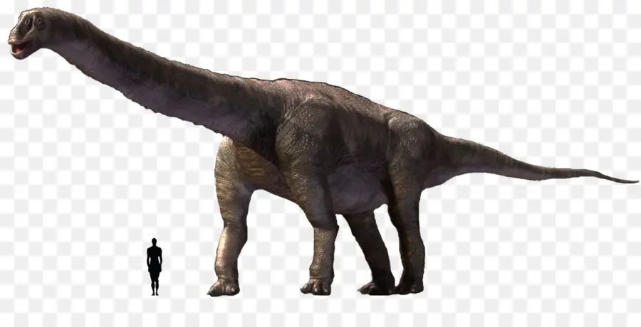 Dinossauro，Pré Histórico PNG