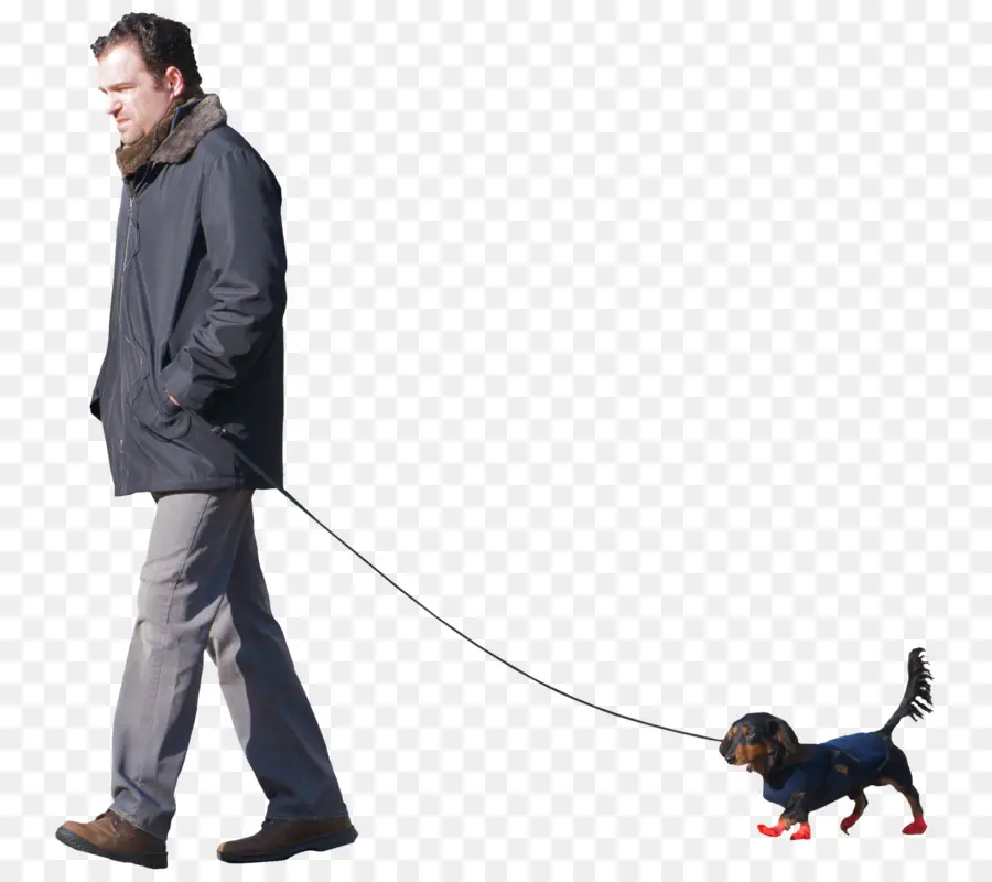 Homem Passeando Com Cachorro，Bicho De Estimação PNG