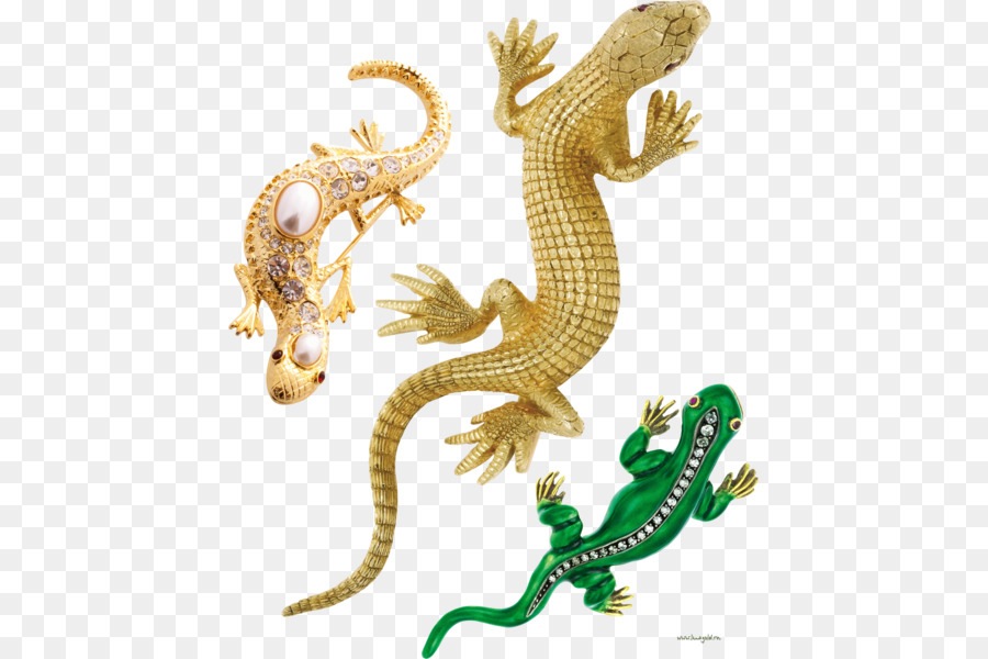 Broches De Lagarto，Acessórios PNG