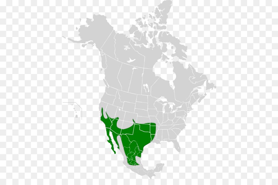 Mapa Da América Do Norte，Canadá PNG