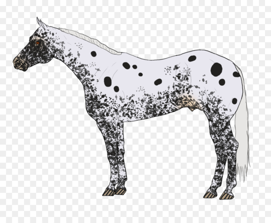 Cavalo Preto E Branco，Cavalo PNG