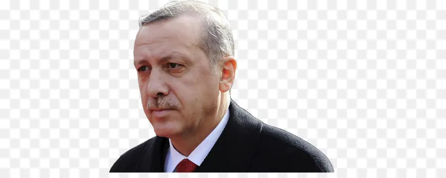 Recep Tayyip Erdoğan，Político PNG