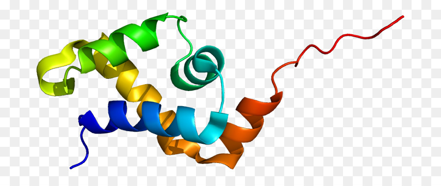 Hélice De Proteína，Molécula PNG