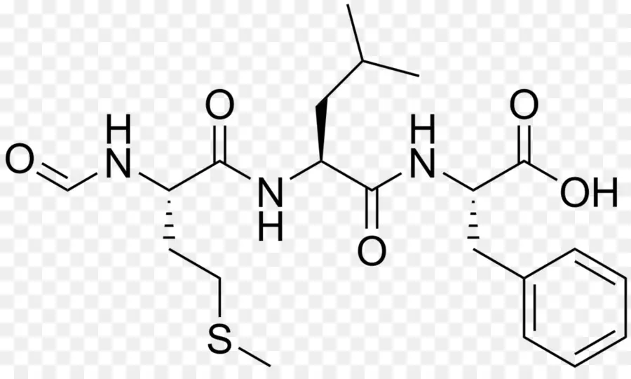 Estrutura Química，Molécula PNG