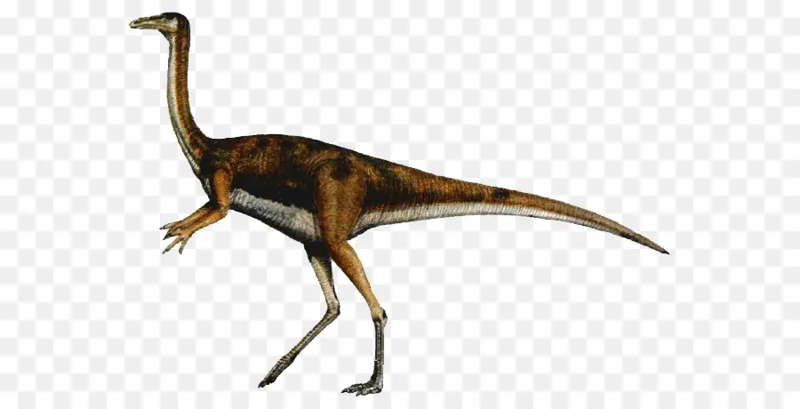 Velociraptor，Gallimimus PNG