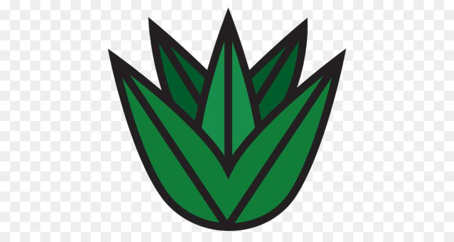 Planta Verde，Folha PNG