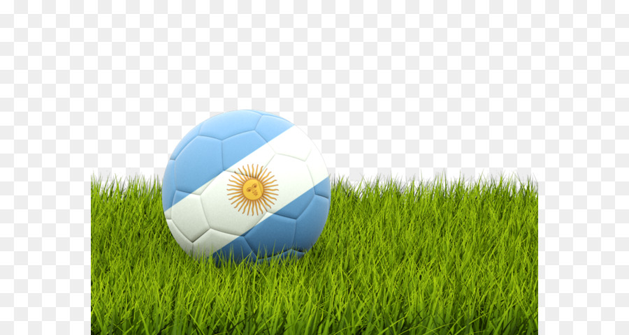 Bola De Futebol Da Bandeira Argentina，Futebol PNG