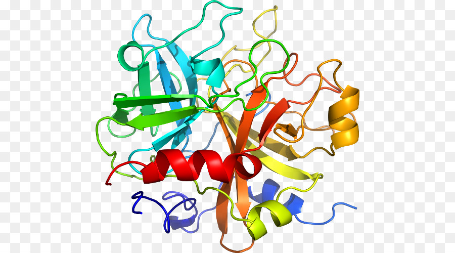 Interleukin1 Família，A Interleucina 1 Receptor Tipo I PNG