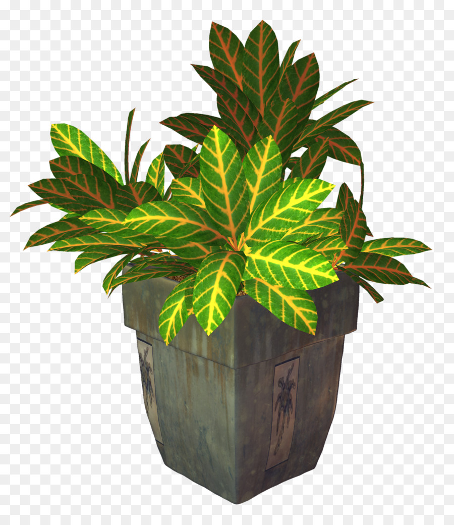 Flowerpot，Planta De Casa PNG