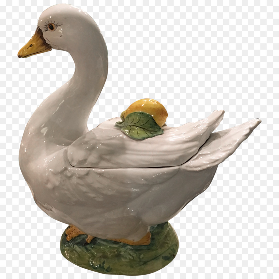 Cisne Branco，Pássaro PNG