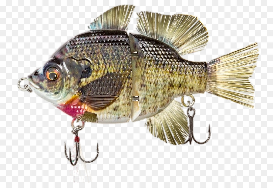 Plug，A Pesca De Iscas Iscas PNG