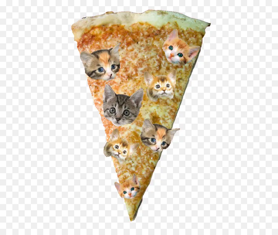 Pizza Com Cara De Gato，Gatos PNG