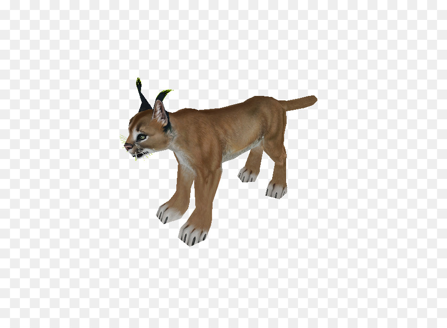 Cougar，Zoo Tycoon 2 PNG