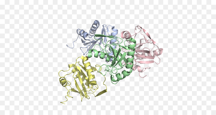 Estrutura Proteica，Molécula PNG