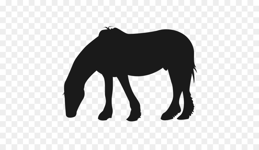 Cavalo，Equino PNG