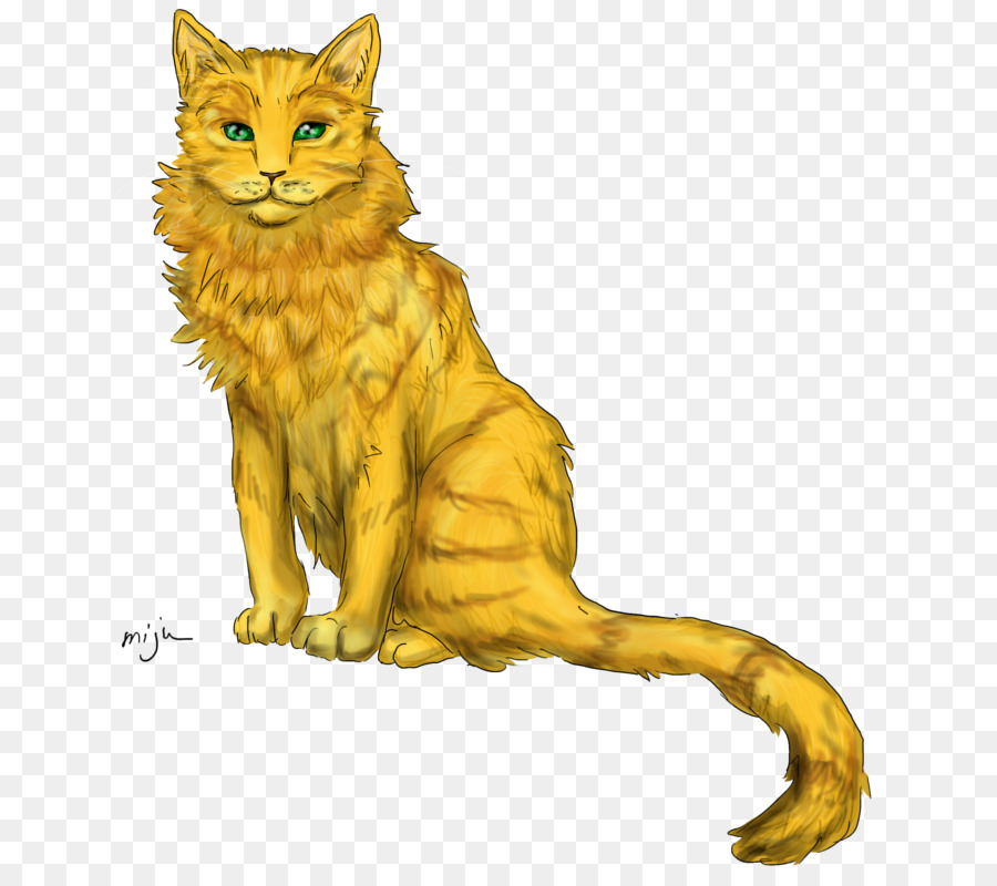 Guerreiros，Gato PNG