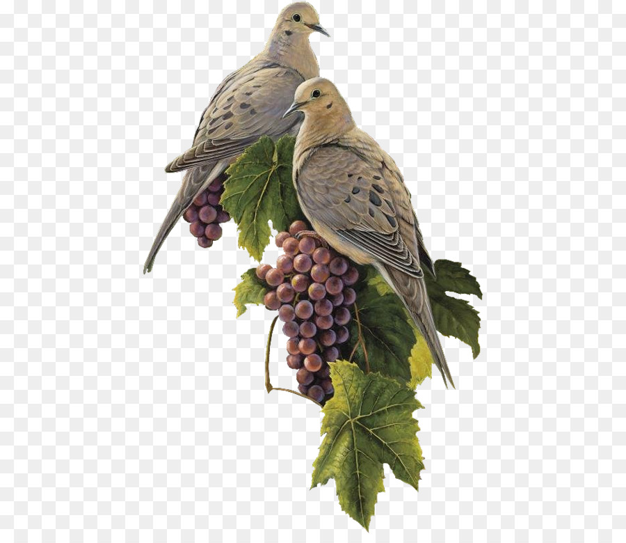 Pombas，Uvas PNG