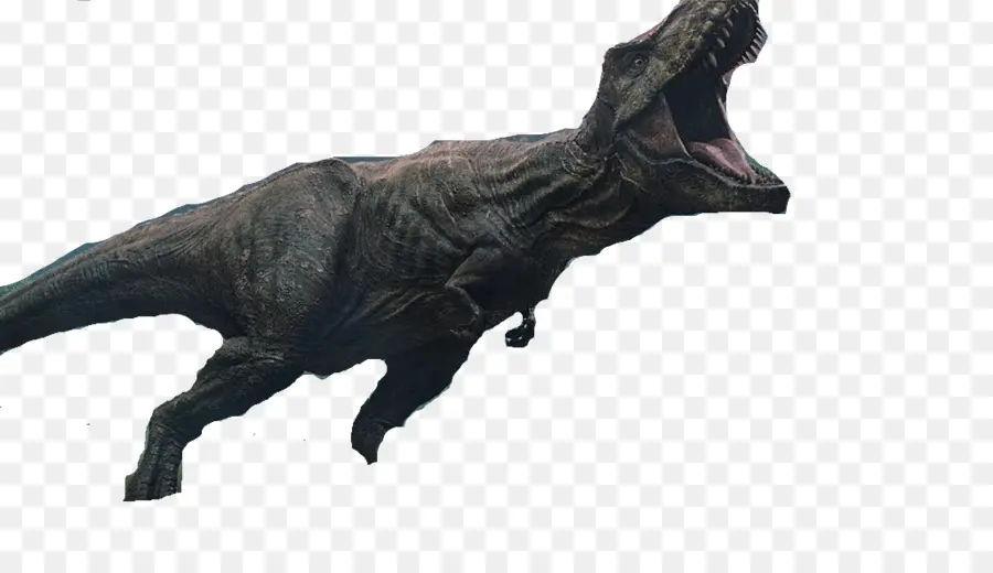 Dinossauro，Pré Histórico PNG