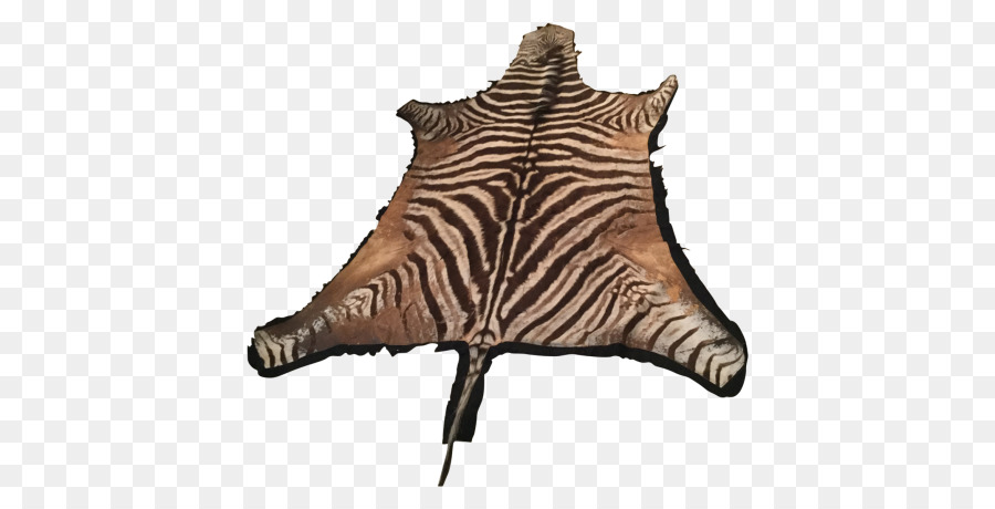 Pele De Zebra，Animal PNG