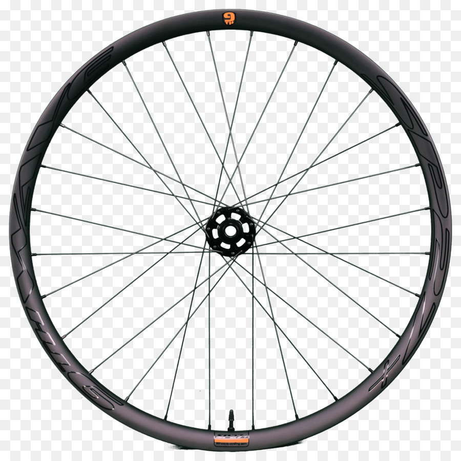 Roda De Bicicleta，Raios PNG