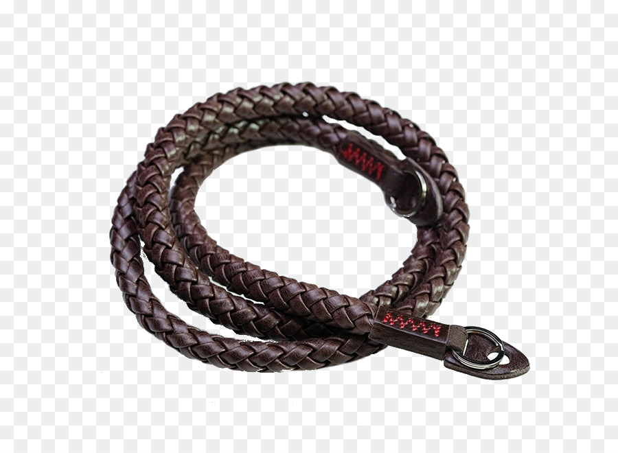 Correia，Leash PNG