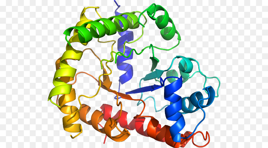 Estrutura Proteica Colorida，Proteína PNG