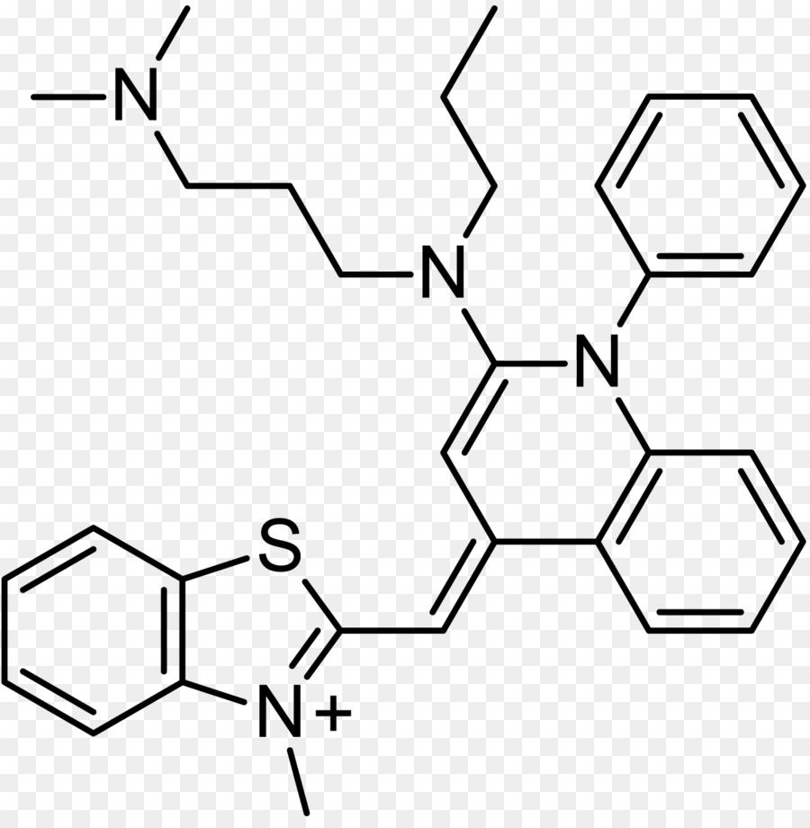 Estrutura Química，Molécula PNG