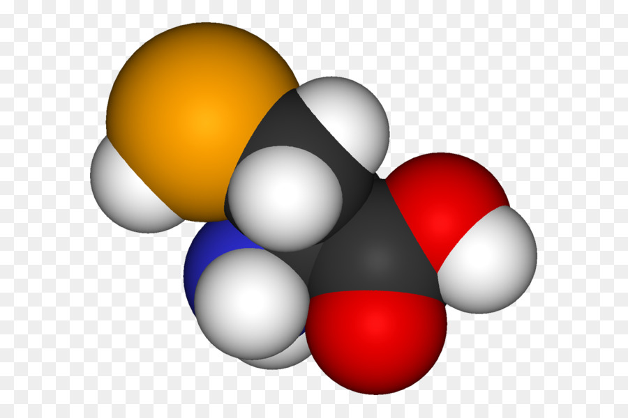 Selenocysteine，Aminoácidos PNG