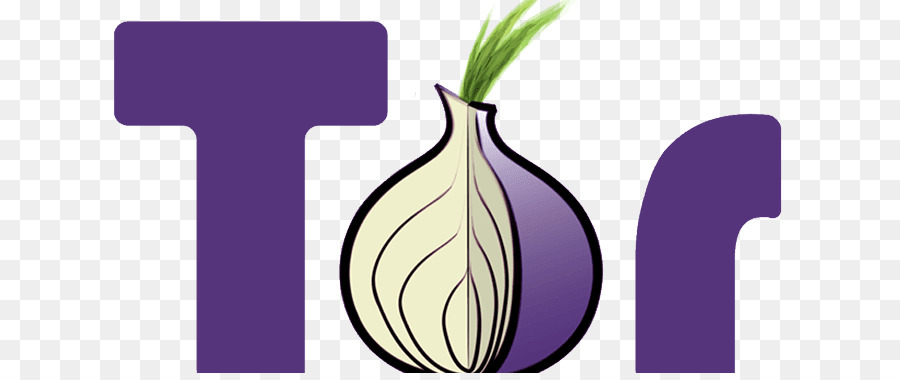 Logotipo Do Tor，Cebola PNG